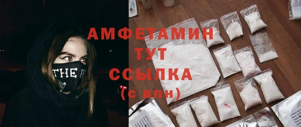 винт Няндома