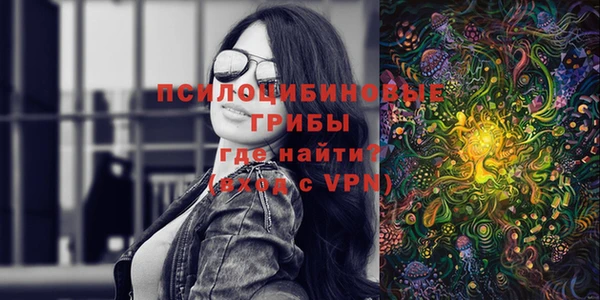 винт Няндома