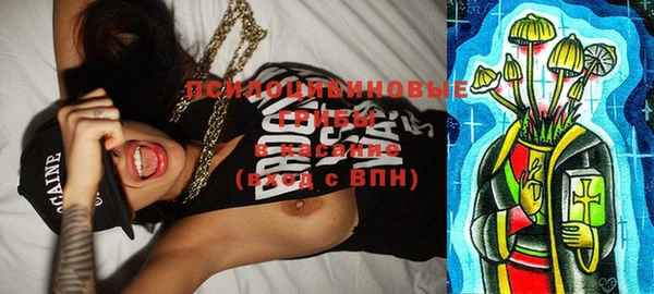 винт Няндома