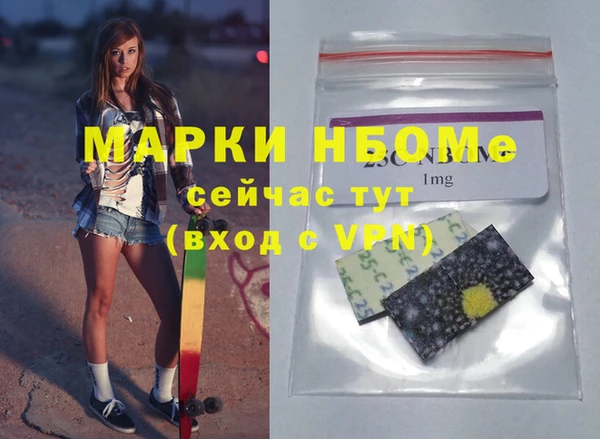 винт Няндома