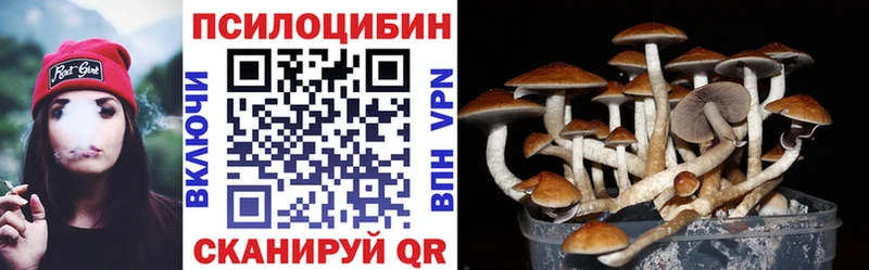 маркетплейс какой сайт  купить   Усть-Джегута  Псилоцибиновые грибы прущие грибы 